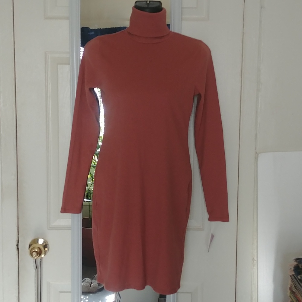 Wild Fable Ribbed Turtleneck Dress